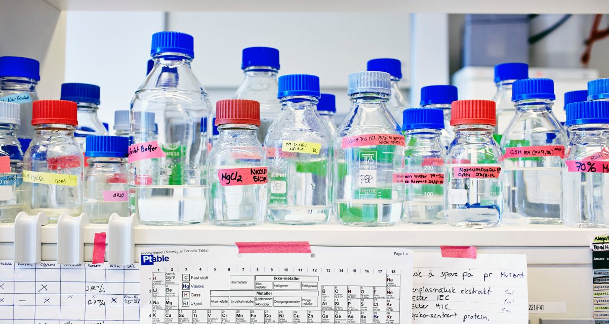 NMBU-glassbeholdere på lab Article Image
