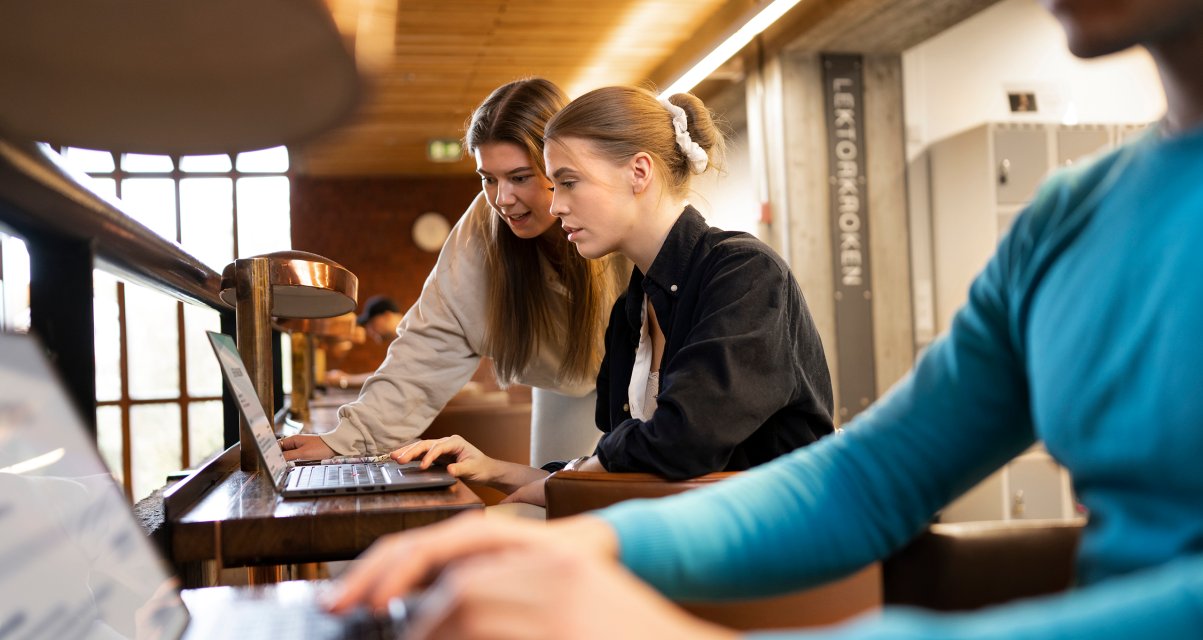 studenter leser pc Article Image